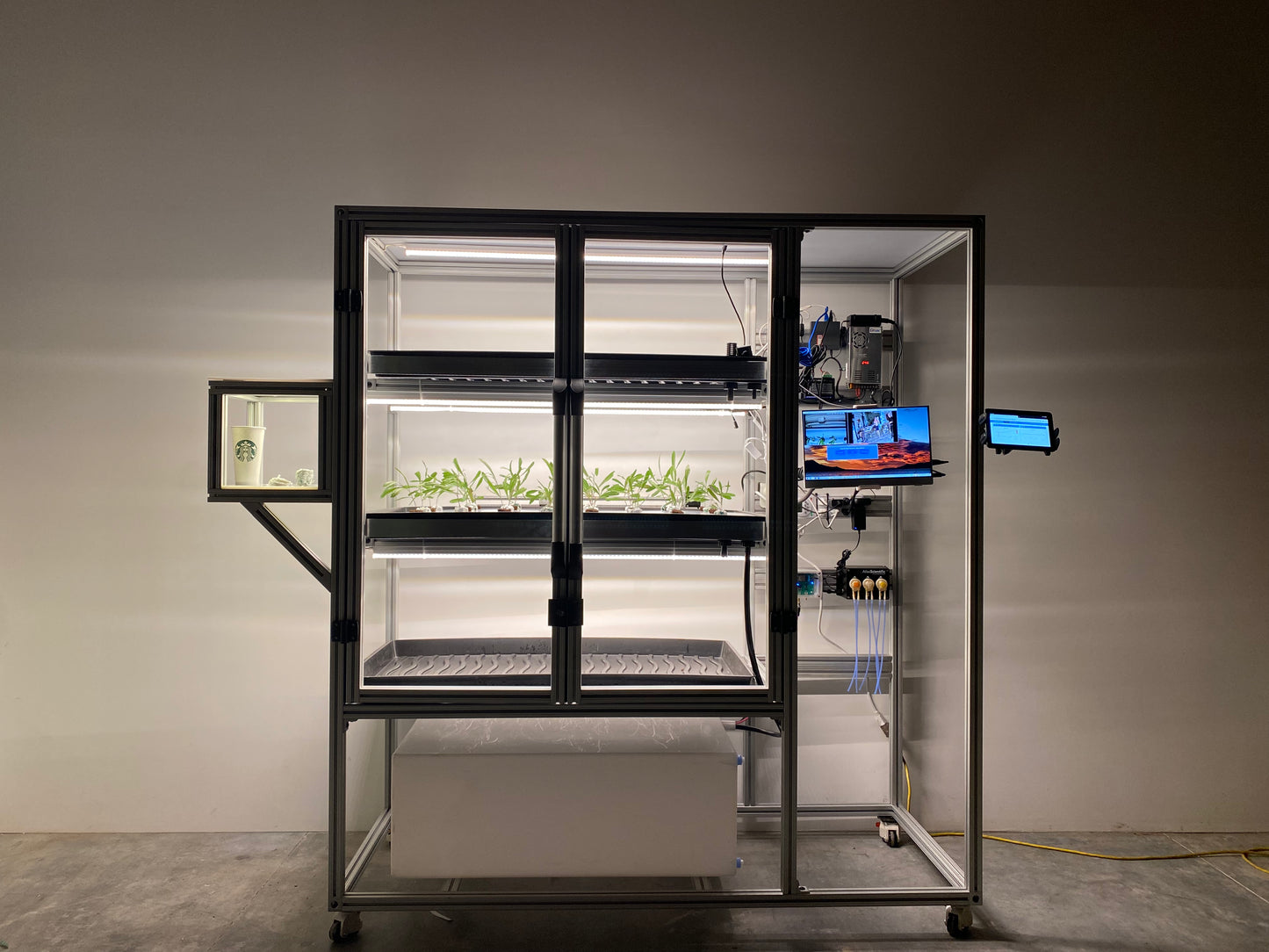 Sponsor 30 Day Experiment